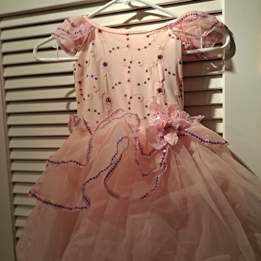 Revolution dance wear pink tutu costume